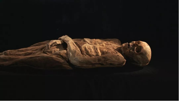 生物科学技术再度突破科学家利用dna数据复原木乃伊真容