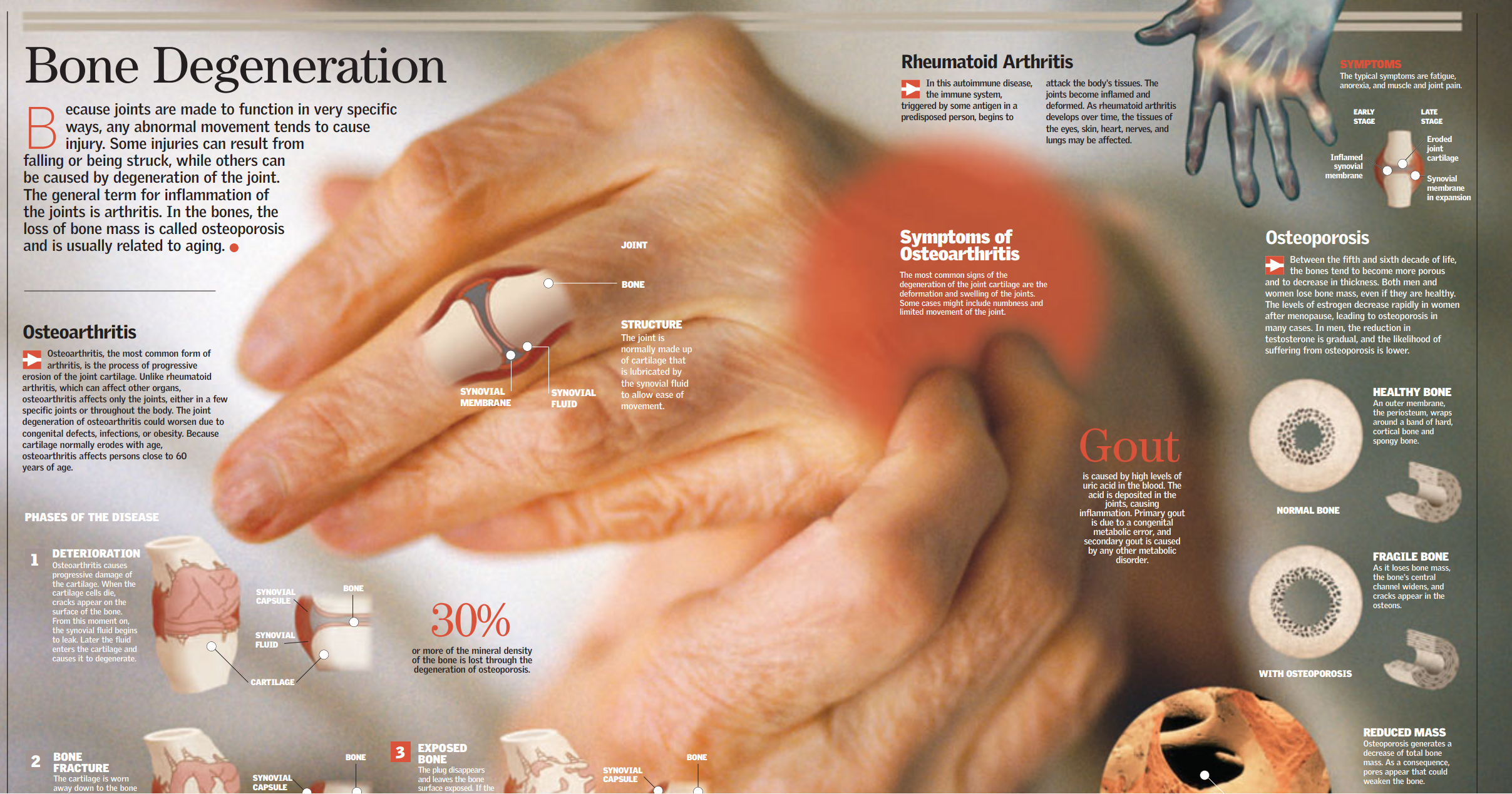 每日医学术语词汇分享25