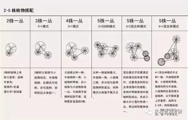 怎么快速认识植物 v2-f1ba57a14b063bbc8908ea61b72b039d_1440w.jpg?source=172ae18b