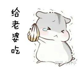 v2-f1bae9329f7c7bbe7b8aaa9bc2a71ae8_b.jpg