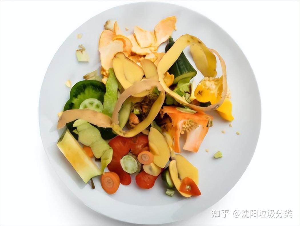 厨余垃圾变身记：从废弃到资源 - 知乎