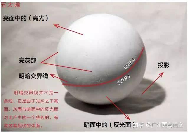 素描明暗交界线太生硬了,怎么办? - 知乎