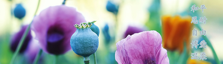 超意识esp 日志 平和的心态 知乎