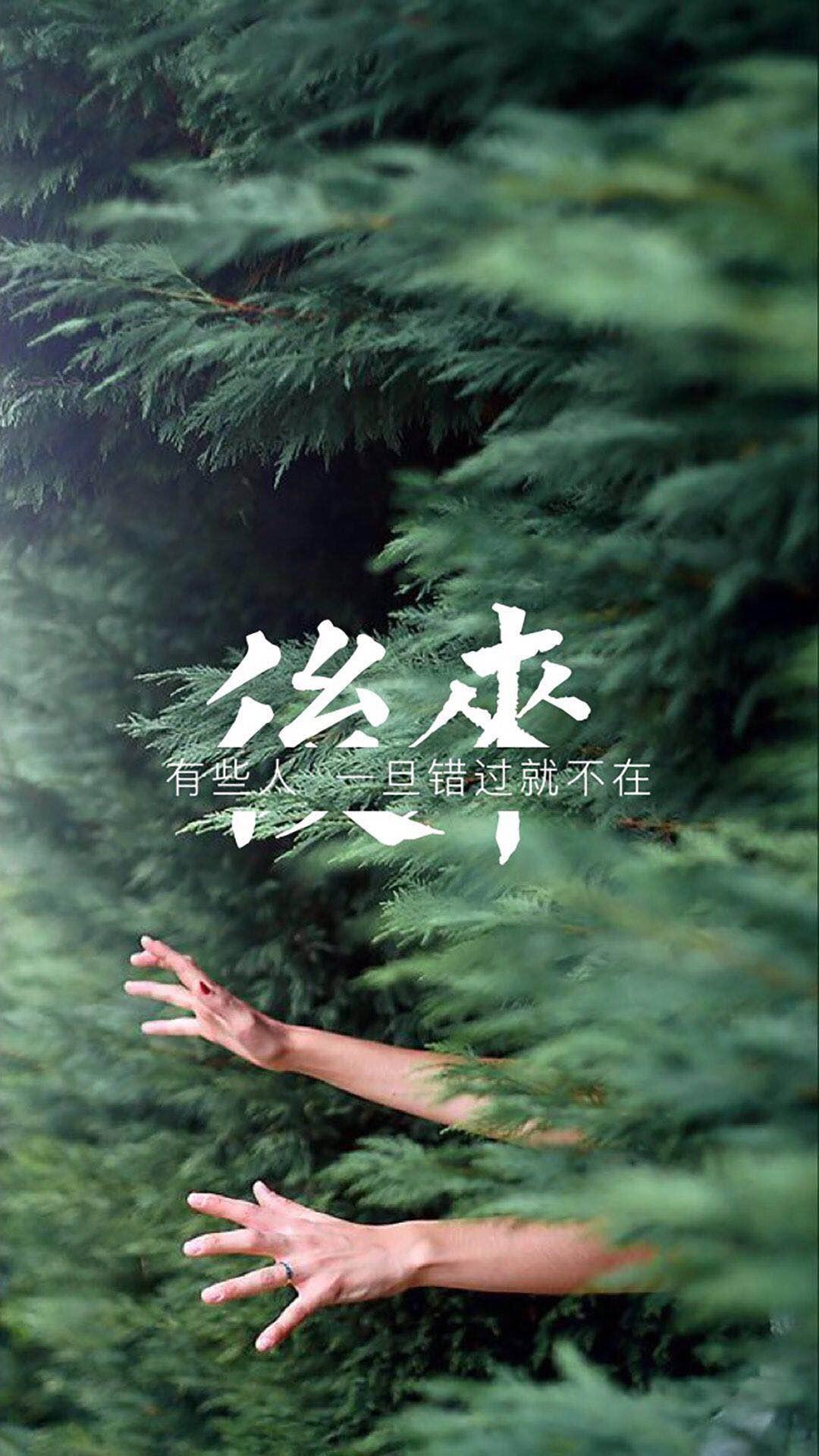 错过往往是一转身的距离