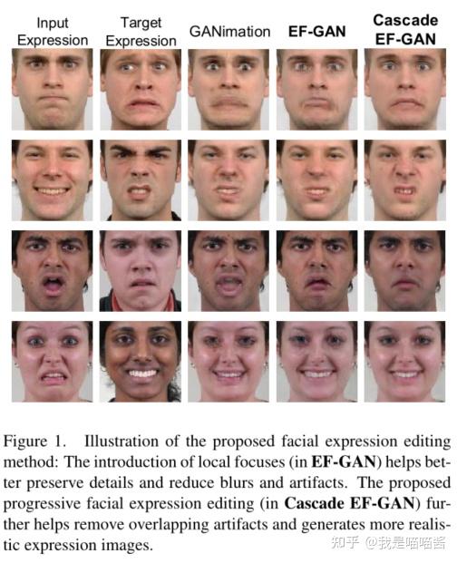 Cascade EFGAN Progressive Facial Expression Editing with Local