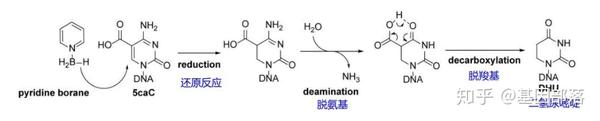 知乎专栏