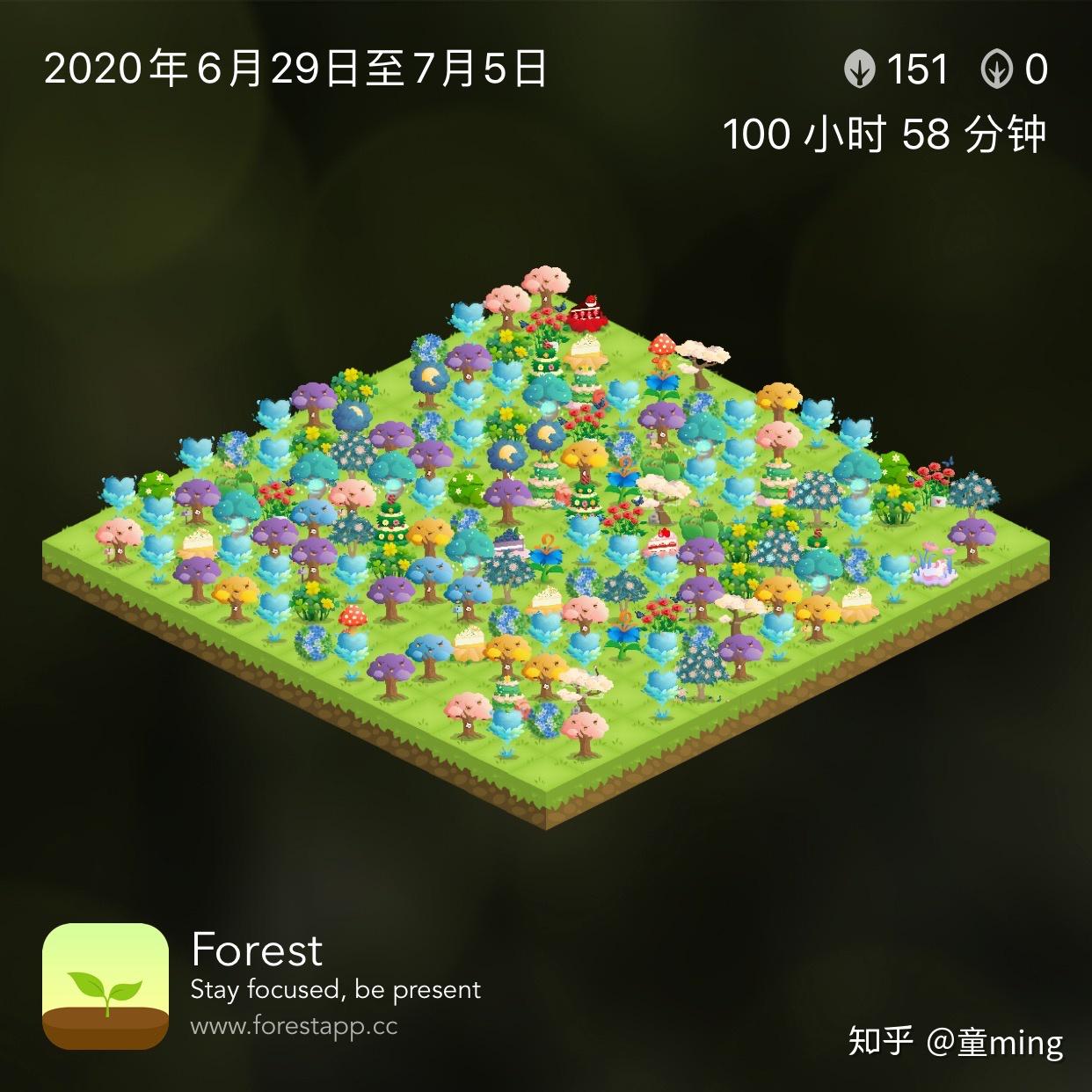 用forest种树怎样搭配最好看? - 知乎