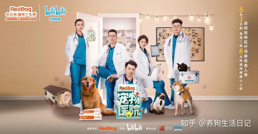 搞笑,感人,教学,10部堪称神作的狗狗综艺&纪录片! - 知乎