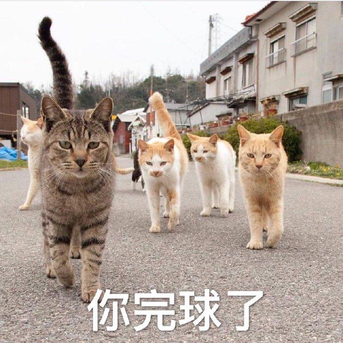 v2-f1ceeeb3dd36c991ab62381628ee17fc_1440w.jpg?source=172ae18b