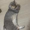 洗洗睡吧123