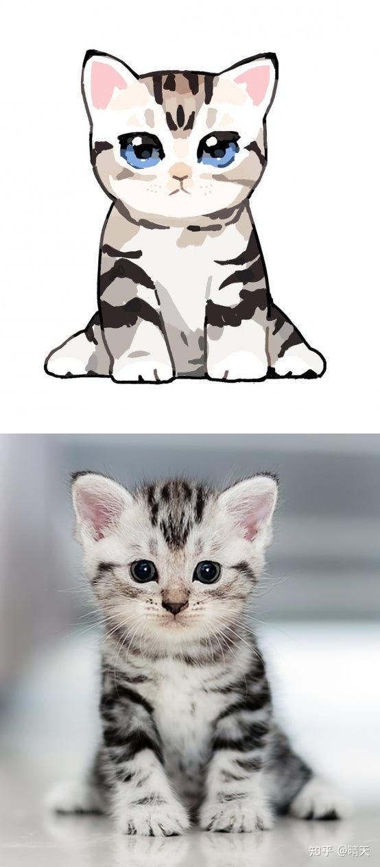 把猫猫二次元化后网友我的妈呀那个后脑勺