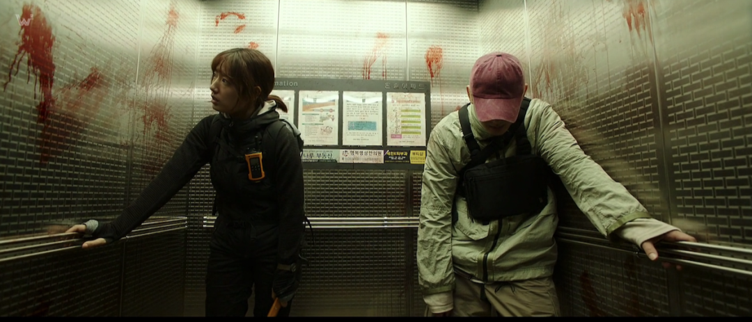 热搜第一的丧尸剧貌似没那么好看