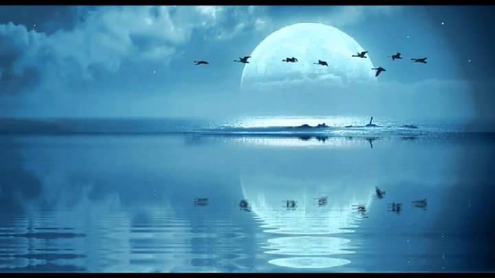 纯粹已成水中月,镜中花?