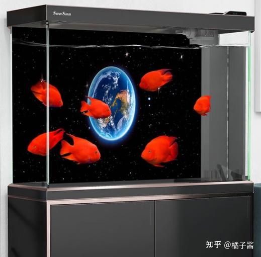 鱼缸挑选尺寸_鱼缸冲浪泵会影响鱼吗_亚克力鱼缸材质