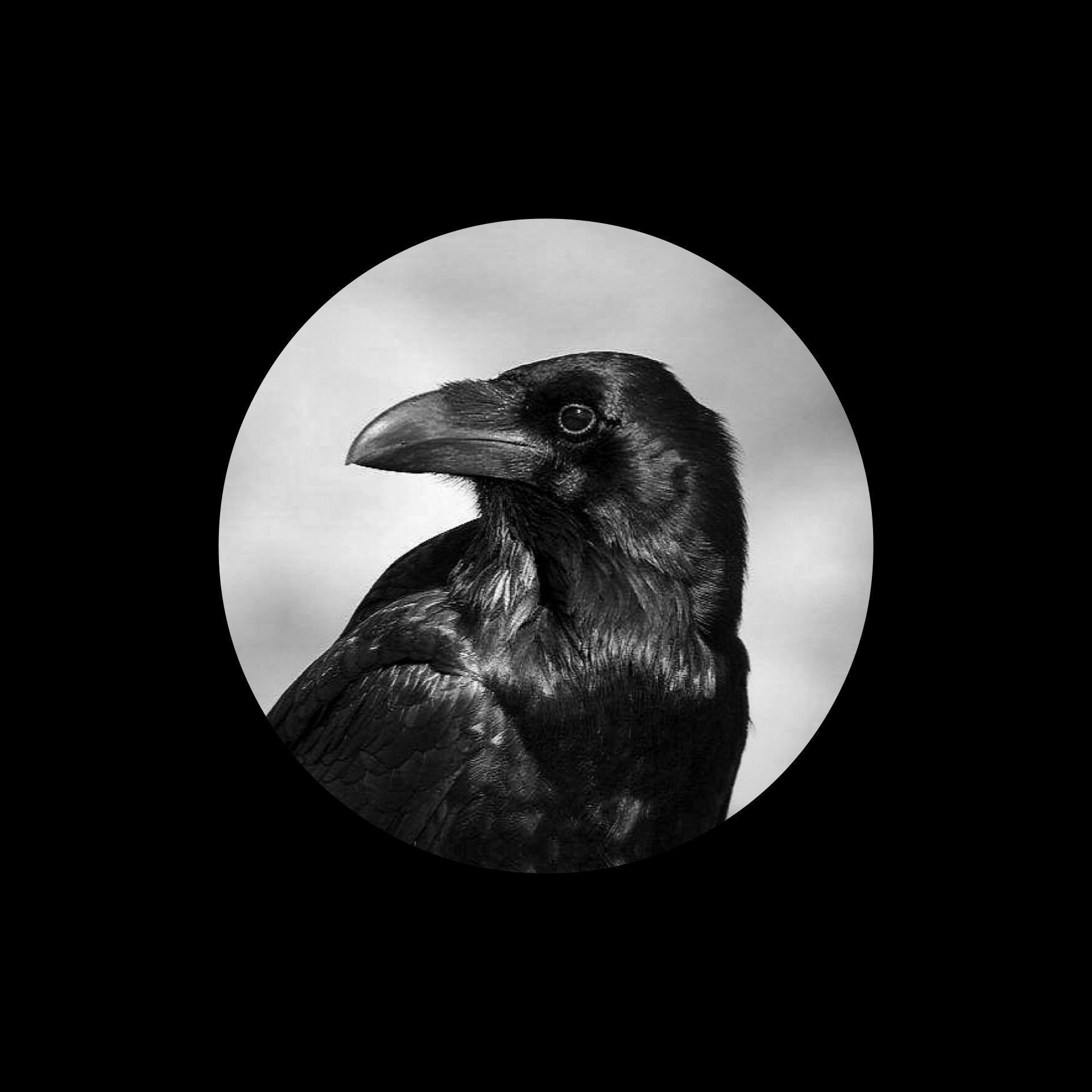 有没有适合当头像的专辑封面? - 知乎