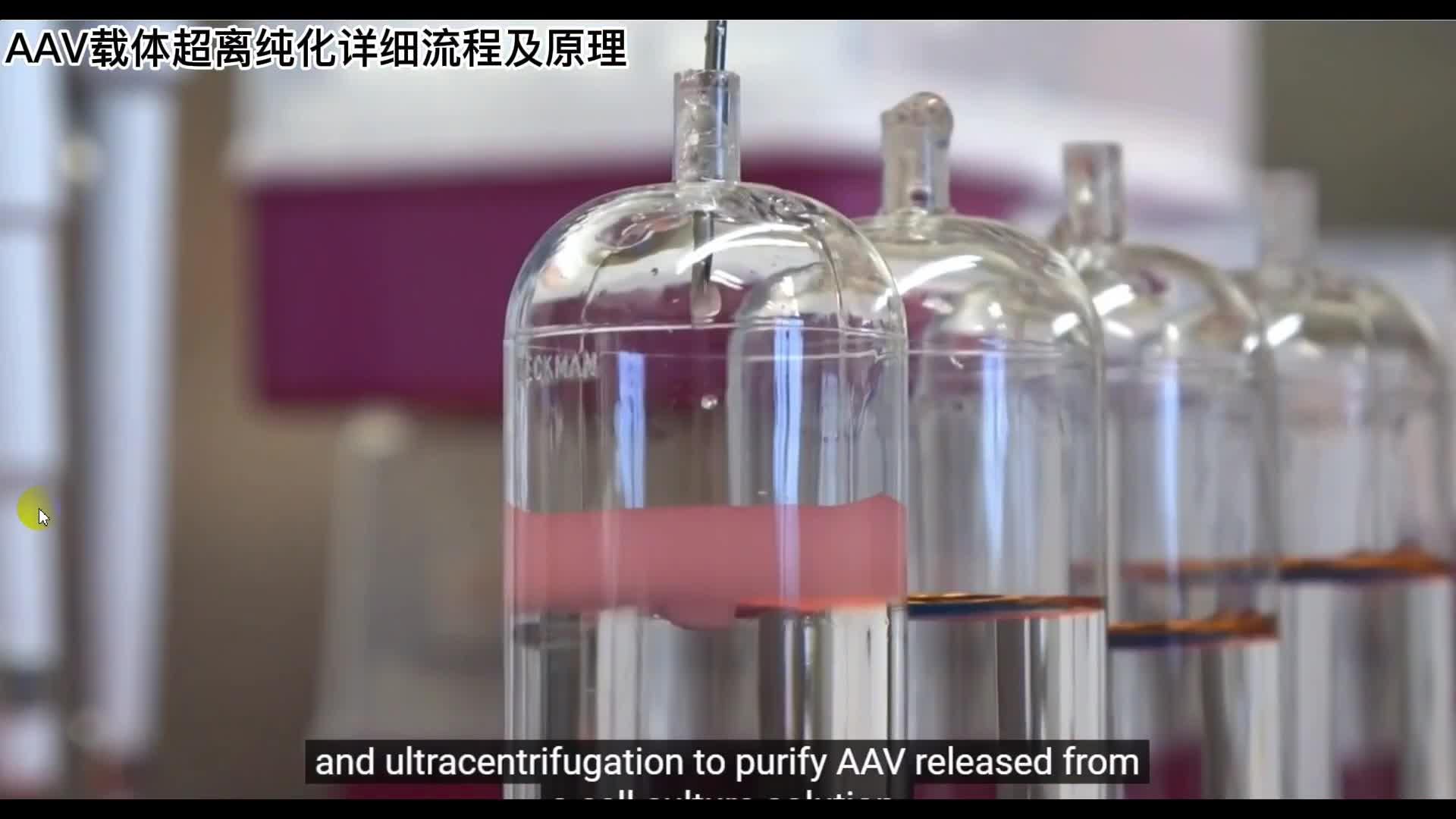 AAV载体超离纯化详细流程及原理 - 知乎