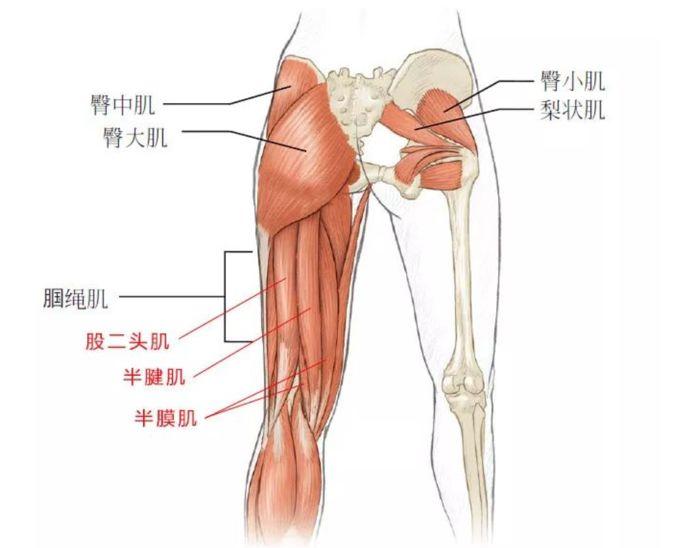 膝关节需用力屈曲