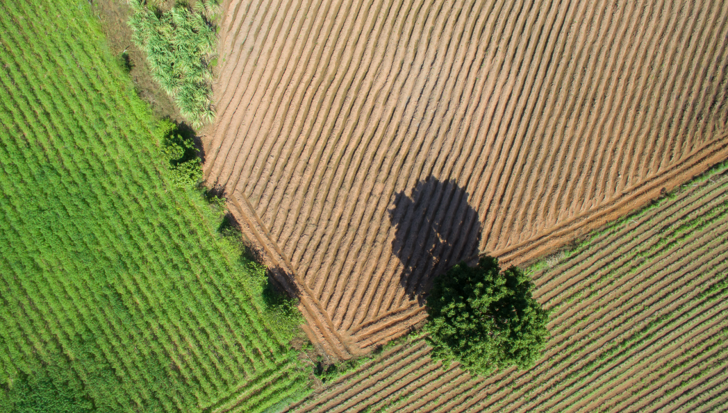 在希望的田野上你的乡村田园规划有救了2022全新田园贴图效果图psd