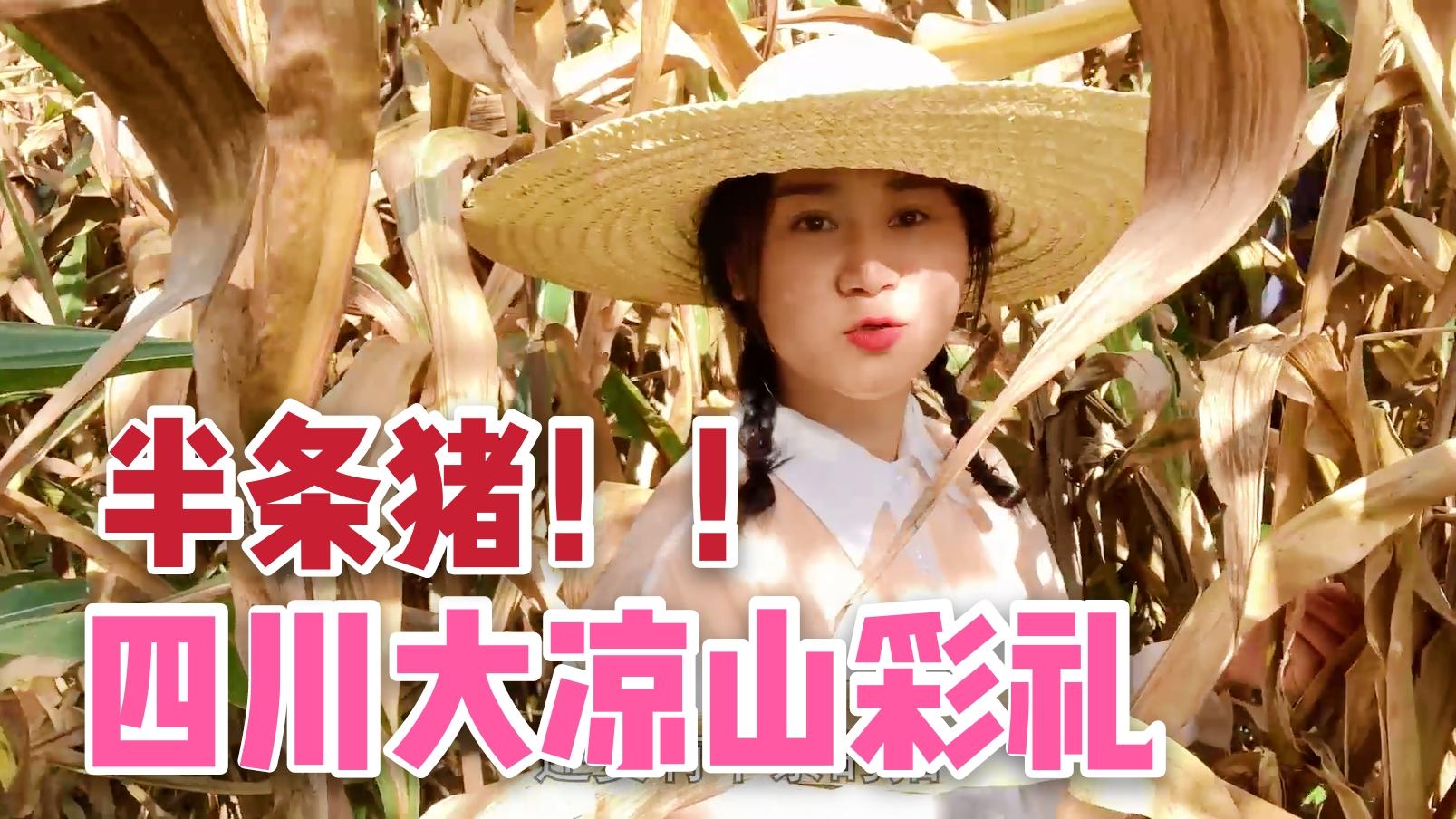 四川农村姑娘家杀过年猪杀猪匠的小孙子一起帮忙场面真热闹