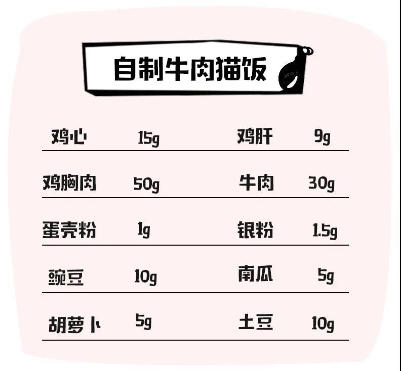 红嘴猫饭堂丨你有一份新的牛肉猫饭食谱请及时查收