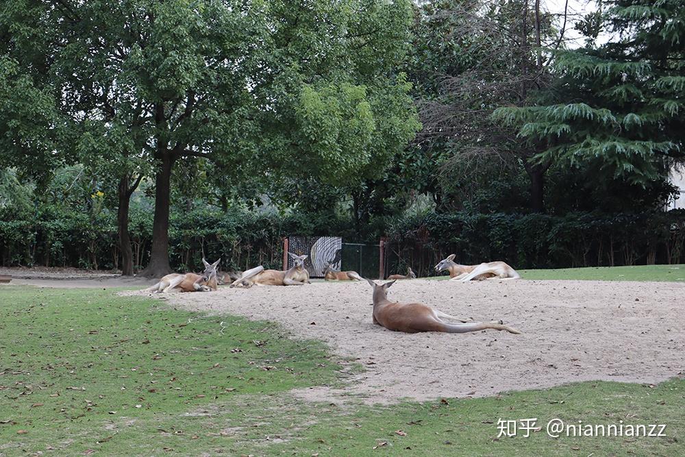 中國最好的動物園在哪裡