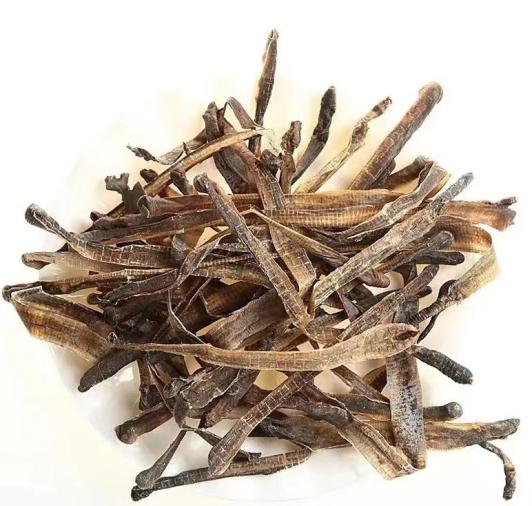 办事指南|进口地龙知多少