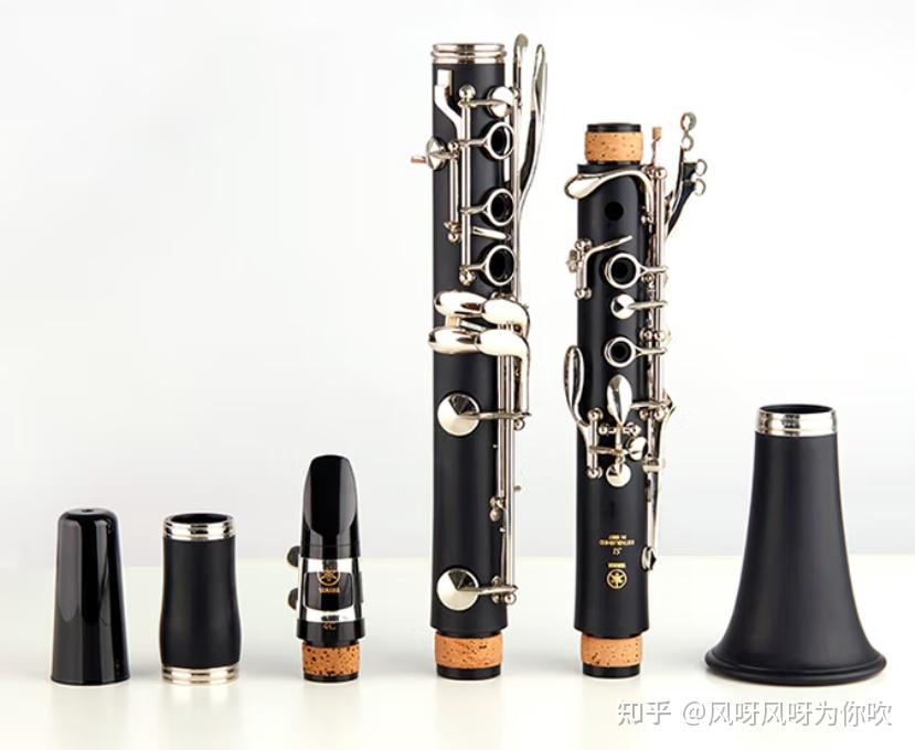 单簧管哪个牌子好?最新高性价比适合初学者的单簧管选购指南及品牌分析