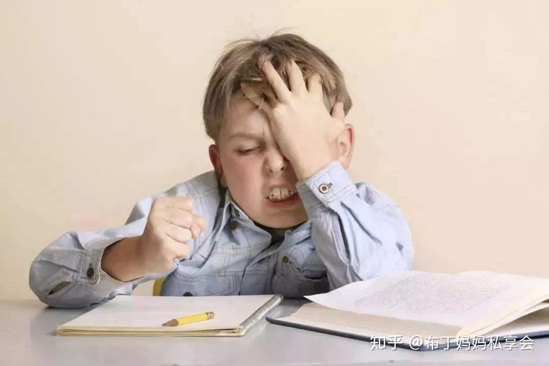 v2-f22d913f6eb523cb7f28e4efc0e01bec_r.jpg