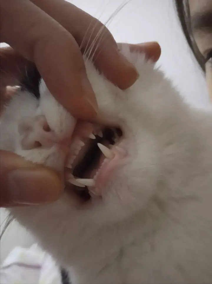 v2-f22f67f1cde89f26127401e30fe56084_1440w.jpg?source=172ae18b