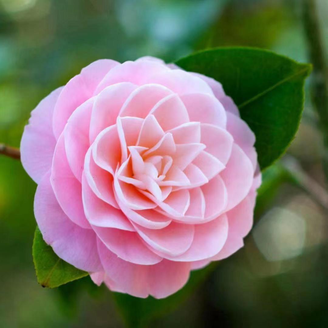 该不该和长时间不换微信头像微信名字的女生恋爱? - 知乎