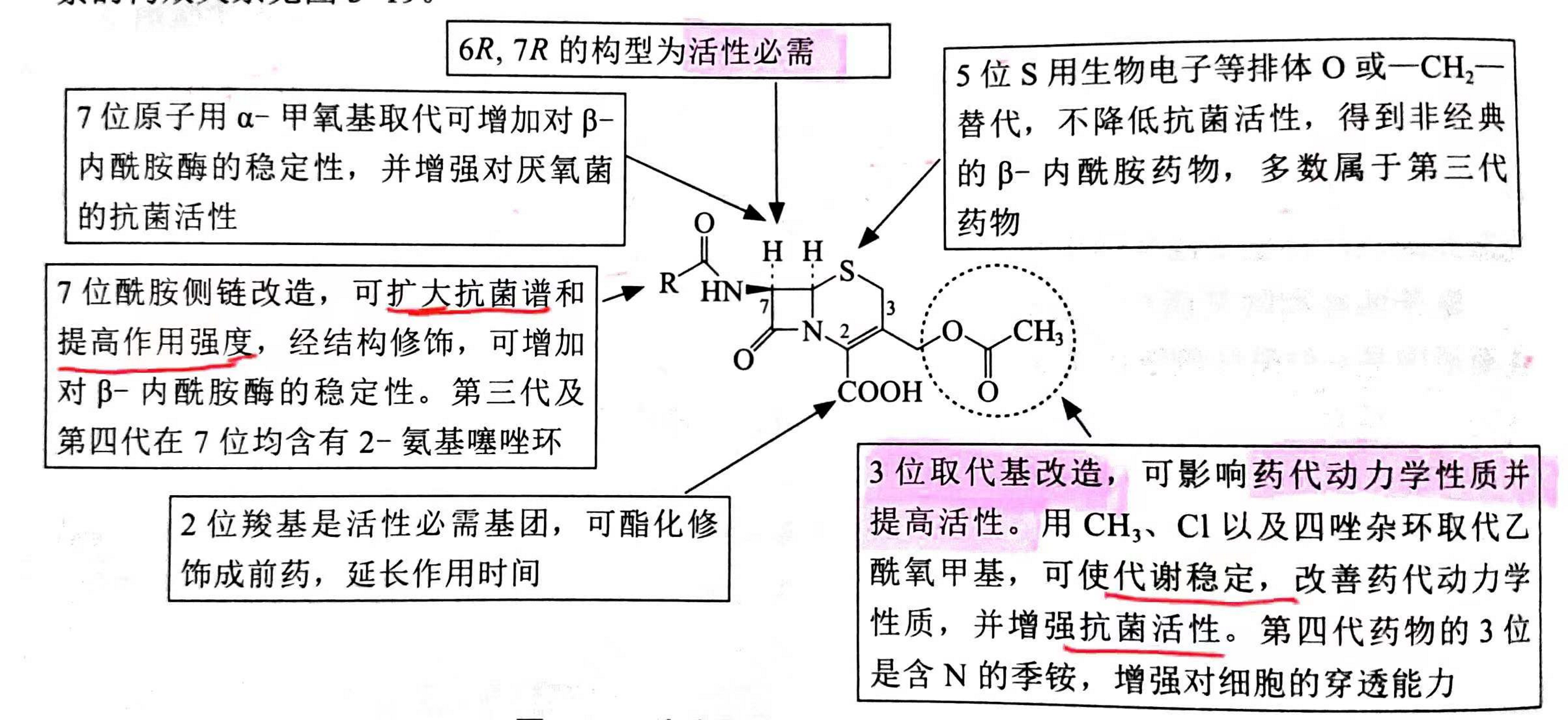 噻嗪环结构图片