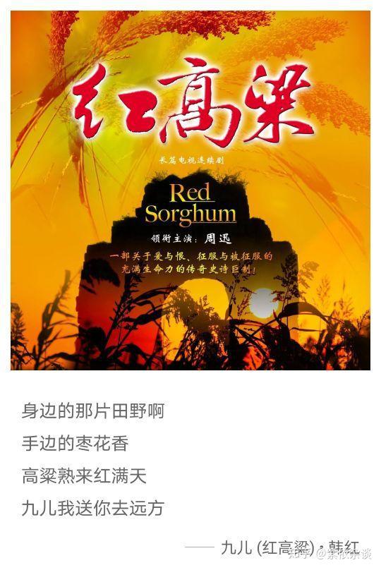 周迅闊別電視劇12年迴歸紅高梁與土匪朱亞文高粱地的野合