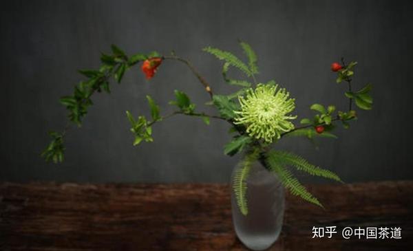 文化 茶室插花的目的 知乎