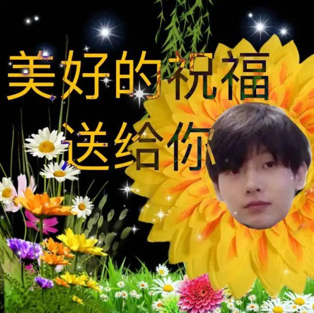 表情包 | b站阴阳怪气yygq男团系列 - 知乎