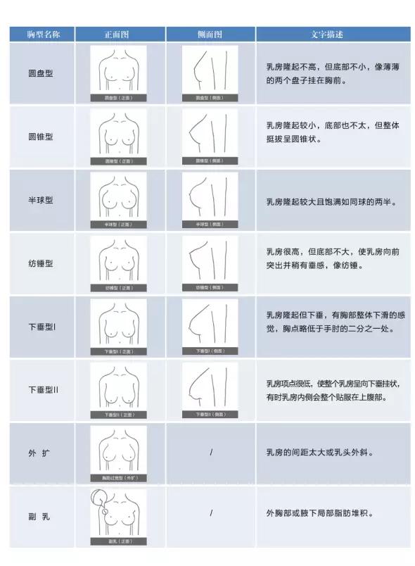 女性的胸型有幾種(正面看),比如有些人是外擴的,有些翹起?