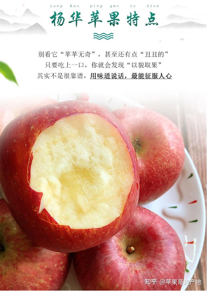 杨华苹果图片