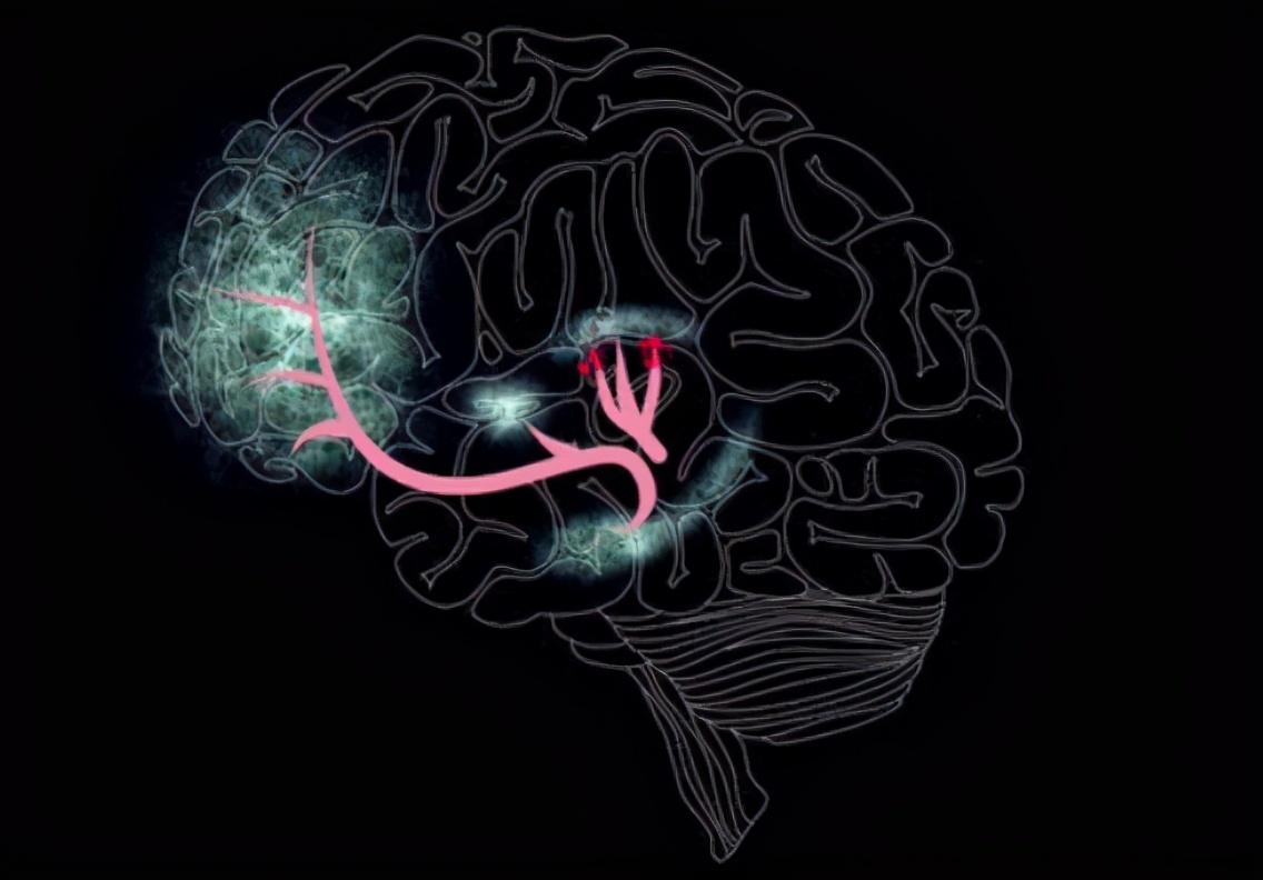 孩子突然开窍了是种什么体验父母戏称感觉像开了挂一样