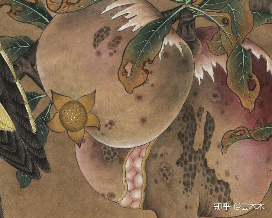 宋小品国画工笔绘画步骤图榴枝黄鸟图尺寸3535cm
