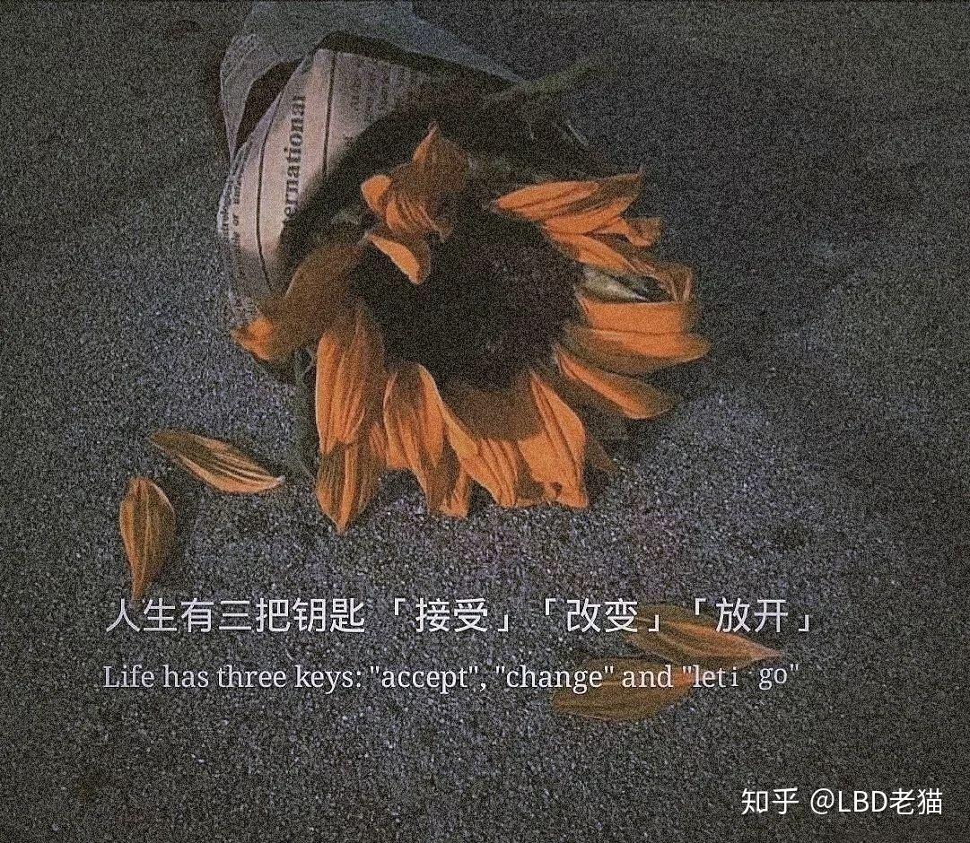 有哪些暗示自己不开心的文案? - 知乎