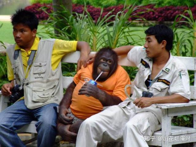 泰国的消费水平到底如何？看看100元能买啥，可能会让你意外！