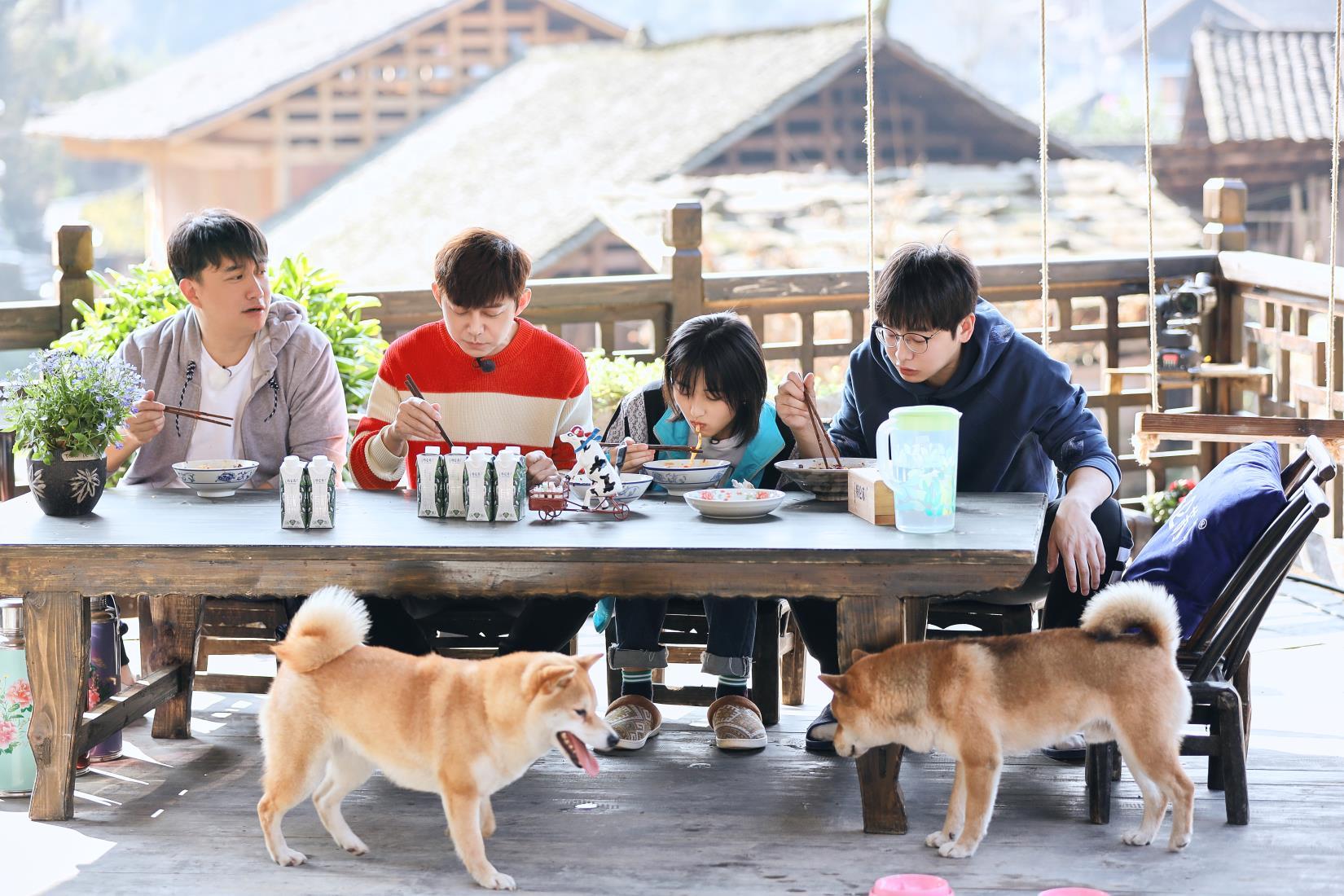 向往的生活里有哪些让你印象深刻的名场面