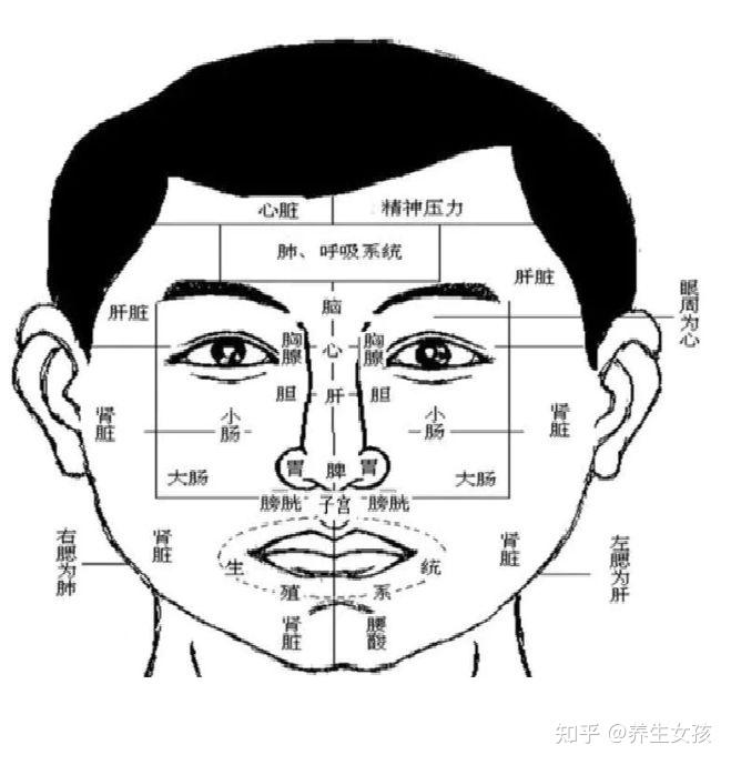 先po一张整体的脸部望诊分区图第一步:找准对应区《内经》里详细讲过