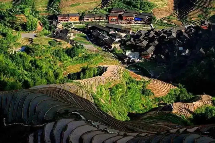 广西桂林大地最美指纹龙脊梯田四季旅游摄影攻略