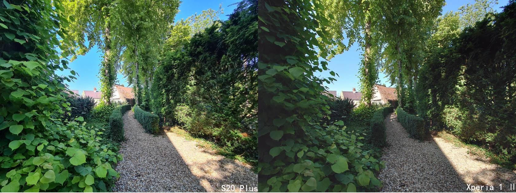 三星galaxy s20 与索尼xperia 1 Ⅱ拍照对比:索尼稍逊一筹 - 知乎