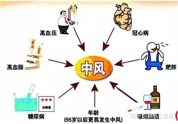 预防中风,你需要做到"管住嘴,迈开腿"