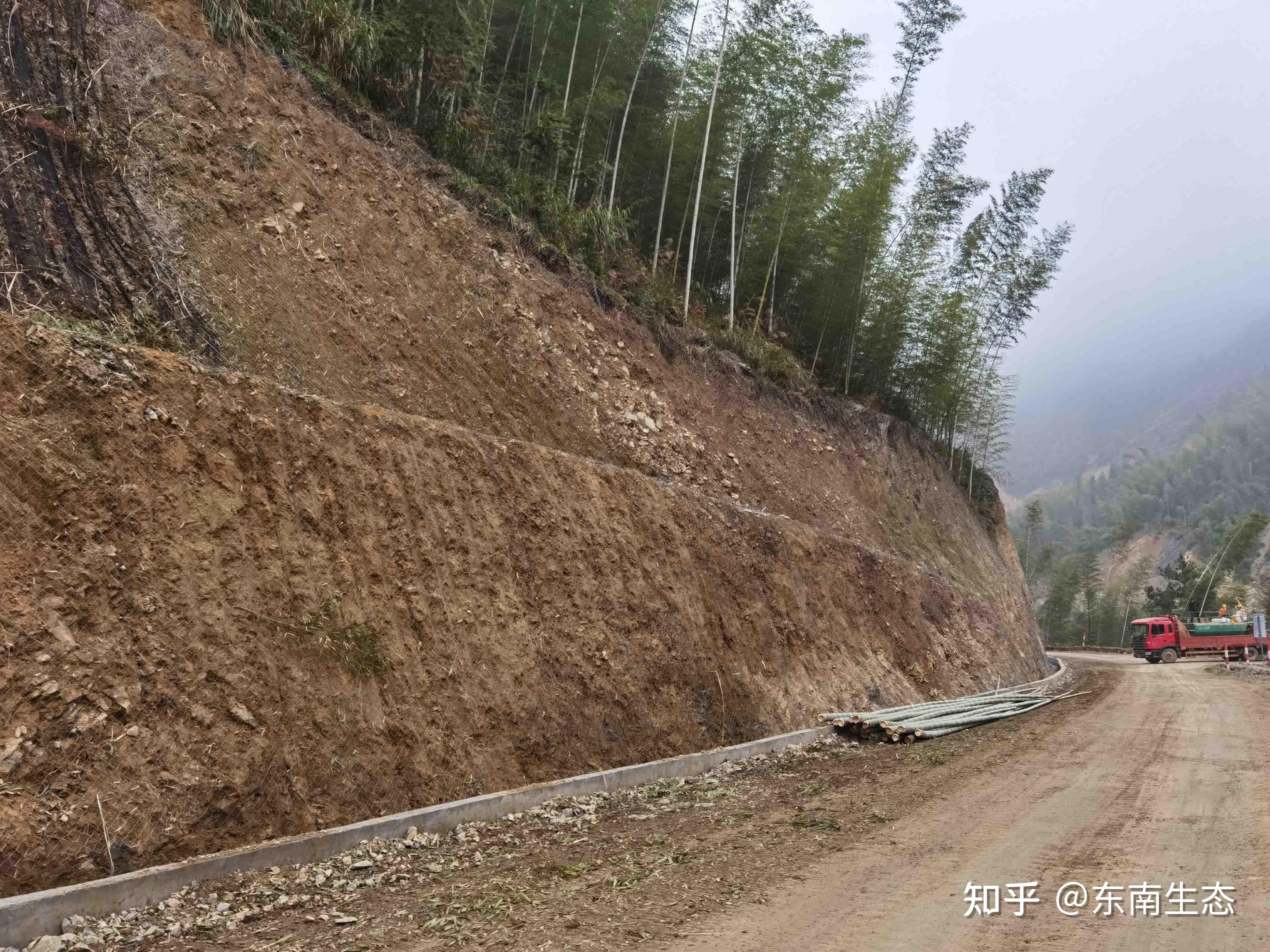 衢州公路边坡绿化项目