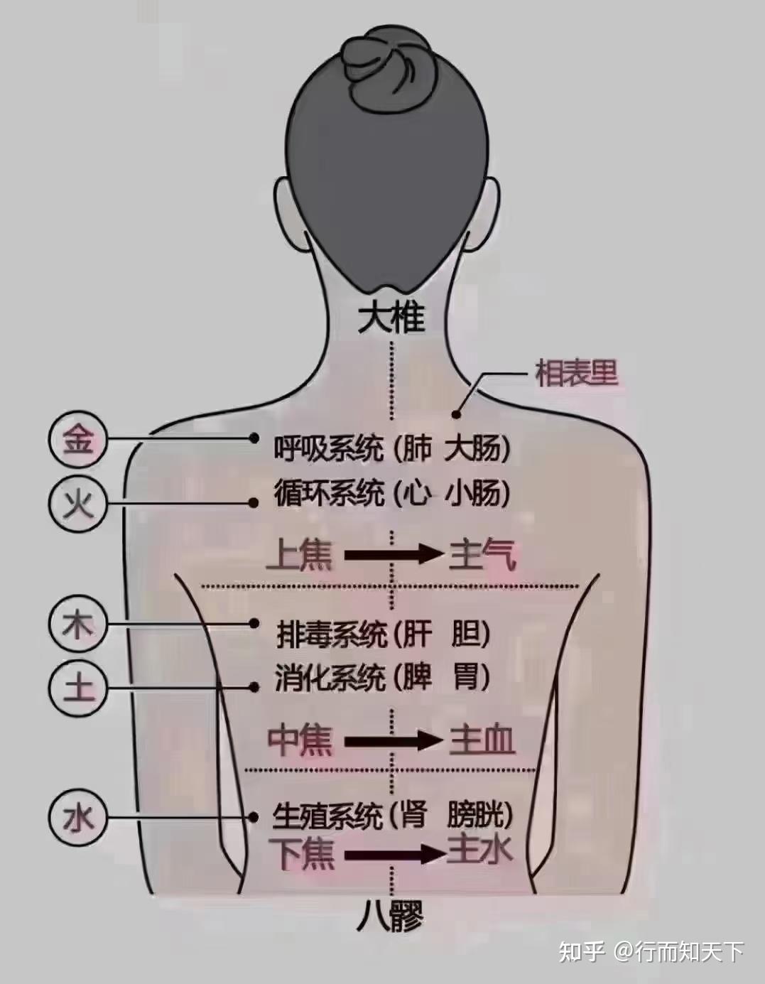 中医技术的“透针” - 知乎