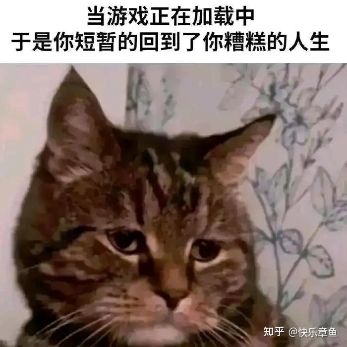 今日meme梗图 - 知乎
