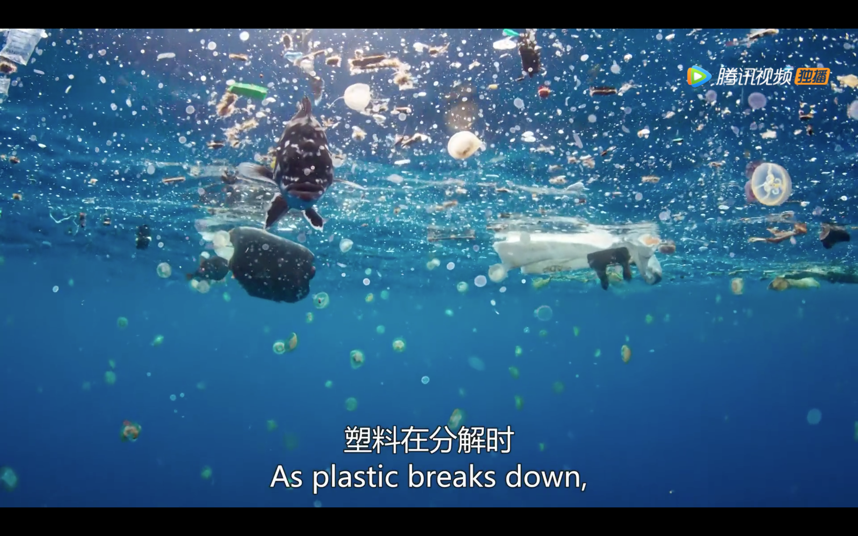 如何评价bbc纪录片蓝色星球2blueplanetii