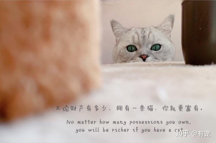 v2-f2aff6c8767f0cf389f959e911c70f28_r.jpg